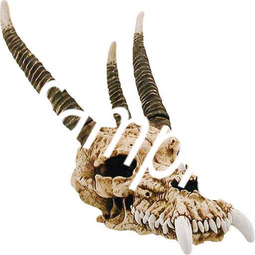 dragon skull