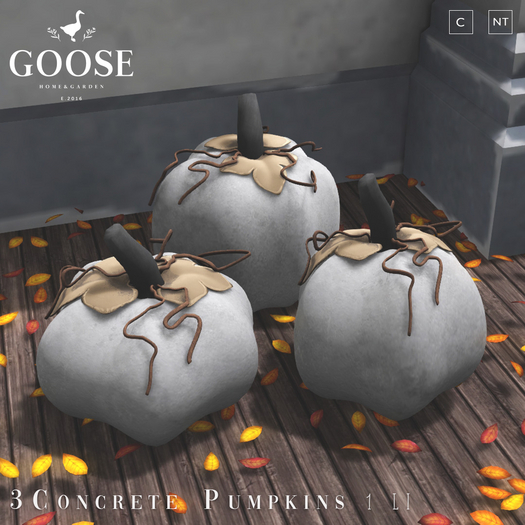 GOOSE - Concrete Pumpkins
