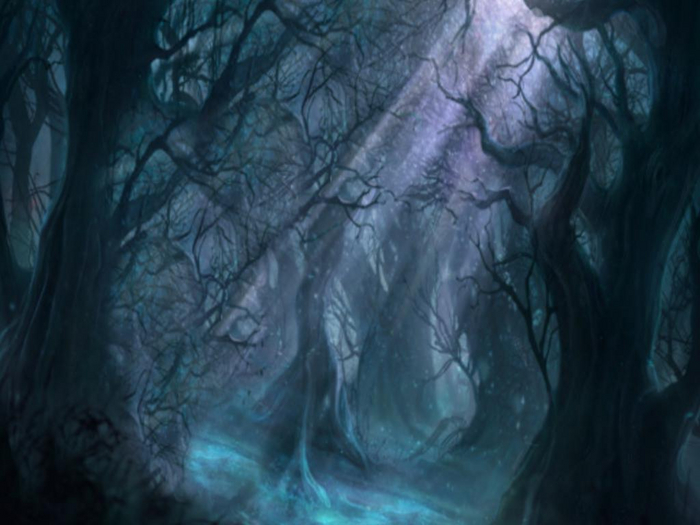 Forest Lights Texture