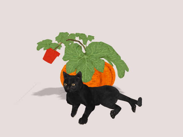 Pumpkin With Black Cat