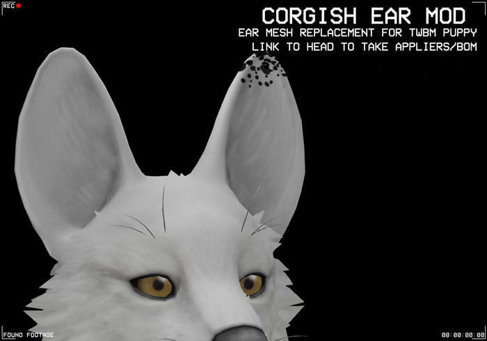 Found Footage - TWBM Puppy earmods - Corgish