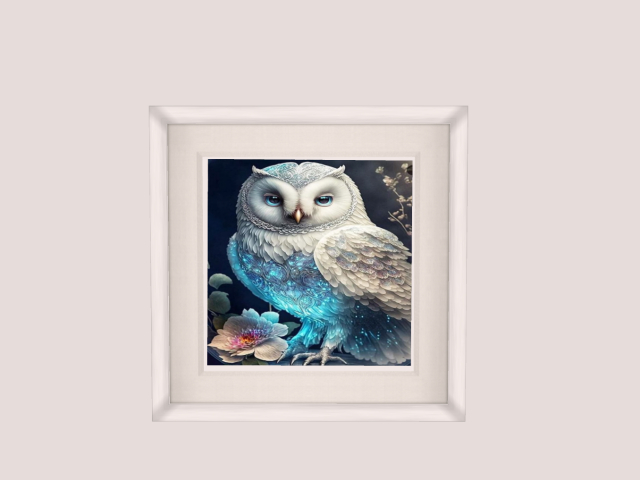 Frame with Owl :)