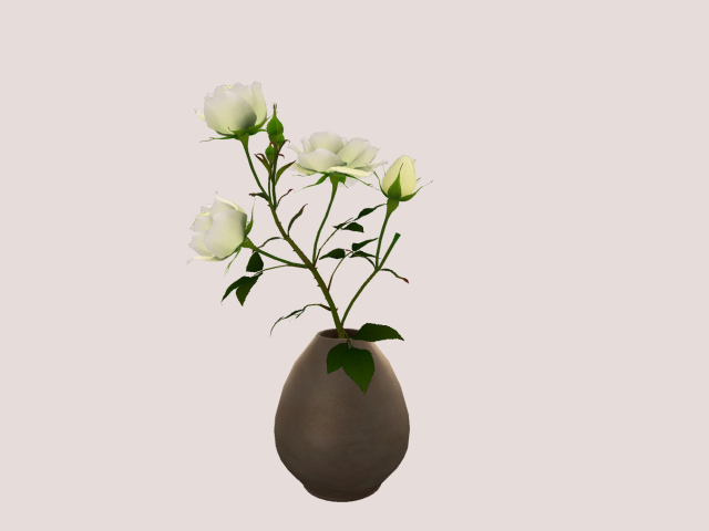 Vase with White Rose