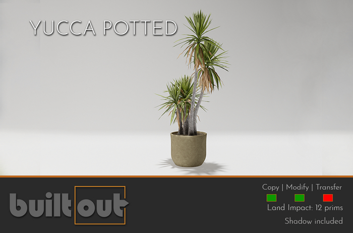 YUCCA POTTED "BUILT OUT"