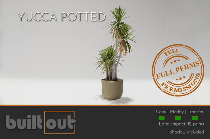 YUCCA POTTED FULL PERMS "BUILT OUT"