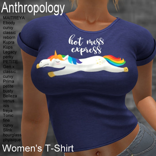 Hot Mess Express Women's T-Shirt (WTTA)