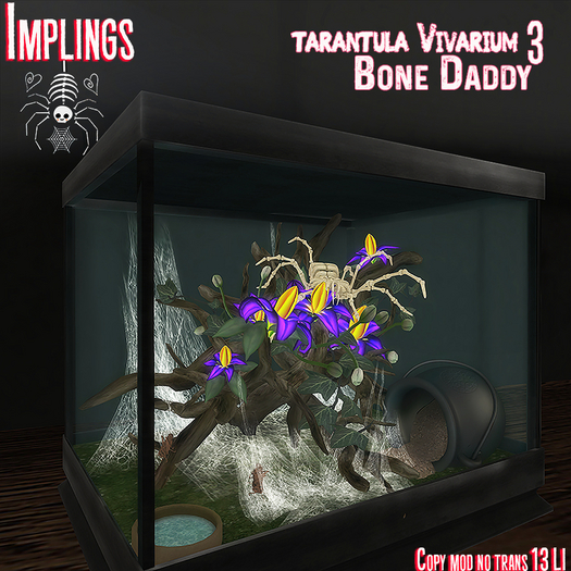 ..::Implings::.Bone Daddy Vivarium