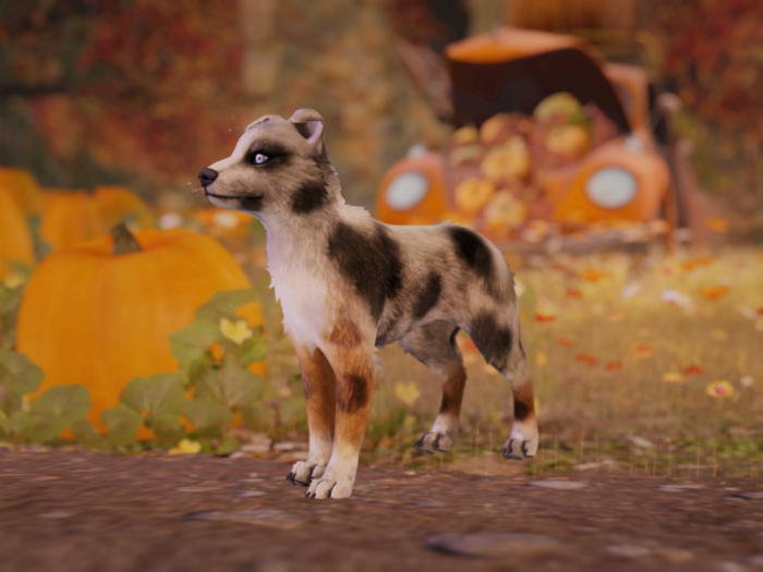FURGENIX Merle Collie TWBM pup Mod 