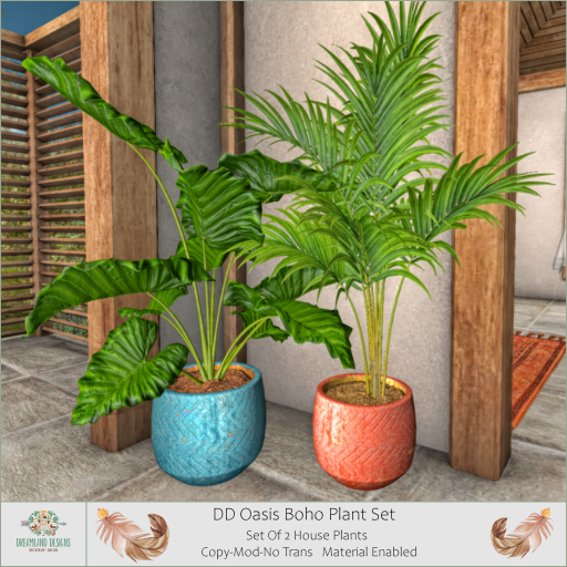 DD Oasis Boho Plant Set/ADD