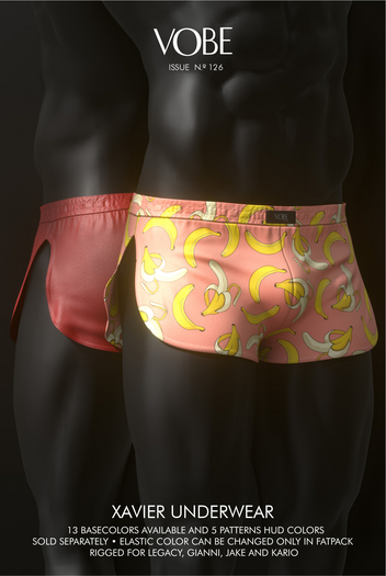 VOBE - Xavier Underwear DEMO