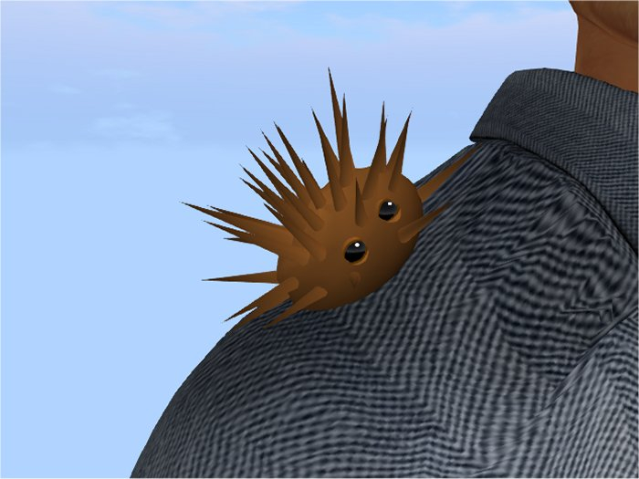 (7S) Common Stuff: Orange Sea Urchin