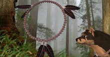 Native Wolf Collar Twi 2