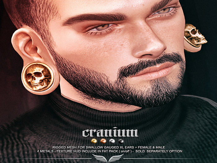 A*S CRANIUM_^^Swallow^^Gauged XL Ears _FATPACK_(wear me)