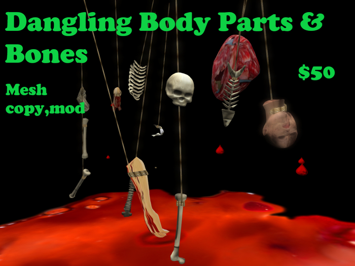 Dangling Body Parts & Bones 