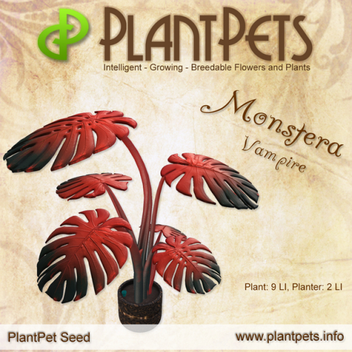 PlantPet Seed [Monstera *Vampire*] RARE ELITE