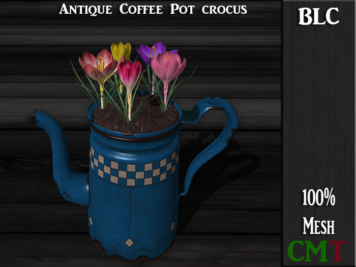BLC  Antique Coffee Pot crocus