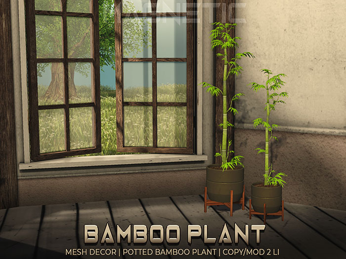 Magnetic - Bamboo Plant