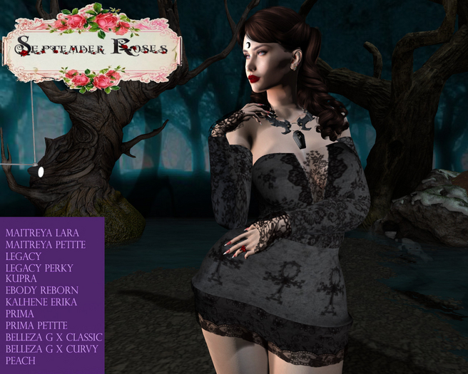 Erika Gothic Dress
