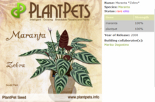 PlantPets Seed-Maranta *Zebra*-Rare-Elite-Taking care of Plantpets is FREE!!