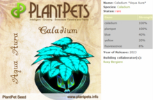 PlantPets Seed-Caladium *Aqua Aura*-Rare-Taking care of Plantpets is FREE!!
