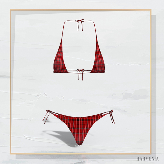 Red Plaid Bikini