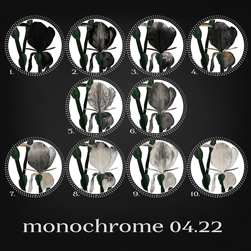 INX.Monochrome 5/5/7/3/5