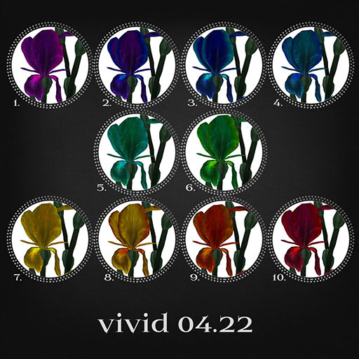 INX.Vivid v2.07 10/6/9/8/4