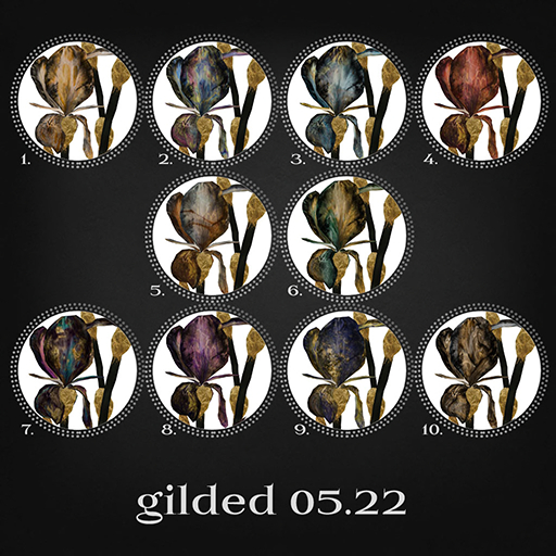 INX.Gilded v2.07 5/5/5/5/5