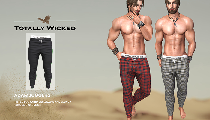 Totally Wicked - Adam joggers_A15