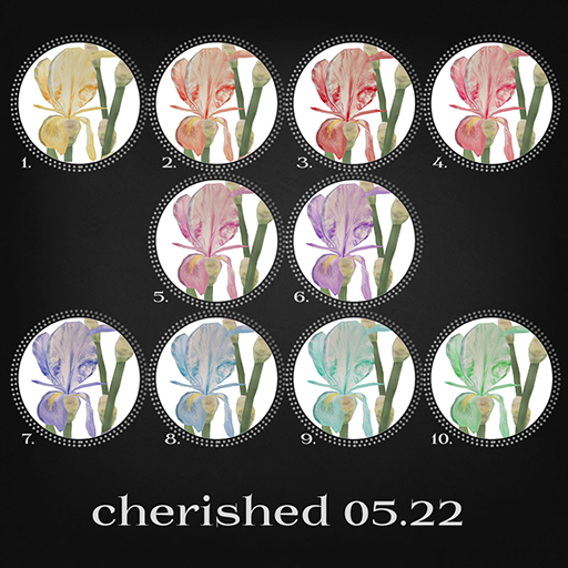 INX.Cherished v2.05 4/4/4/4