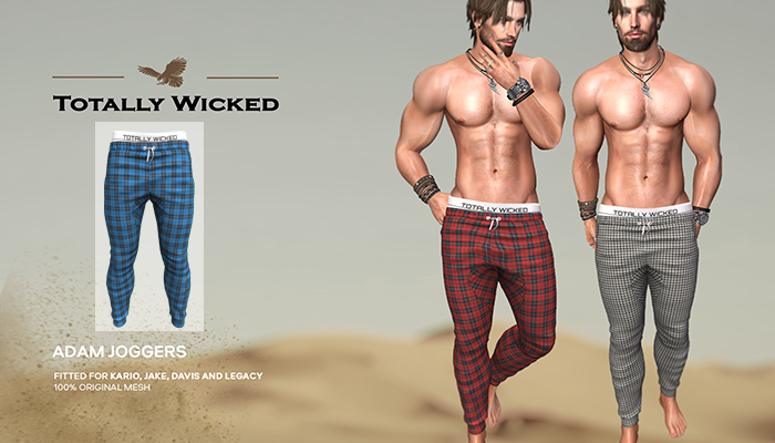 Totally Wicked - Adam joggers_A08