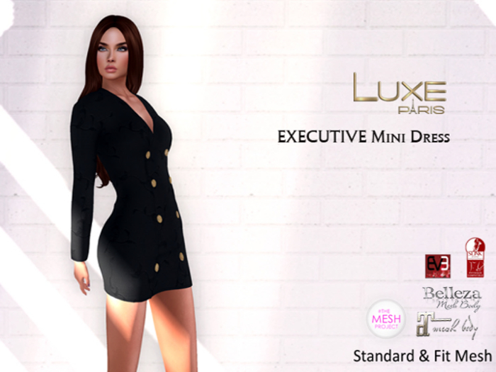 LUXE Paris EXECUTIVE Mini Dress MP