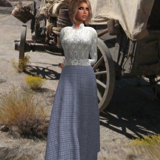 Miss Mona Prairie Dress