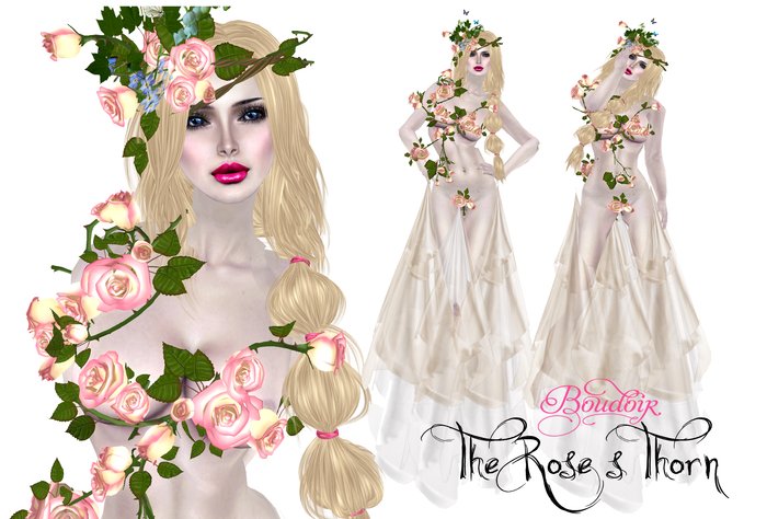 The Rose's Thorn