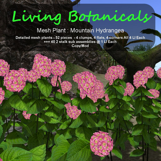 Inochi Botanicals - Mesh Plant "Mountain Hydrangea"