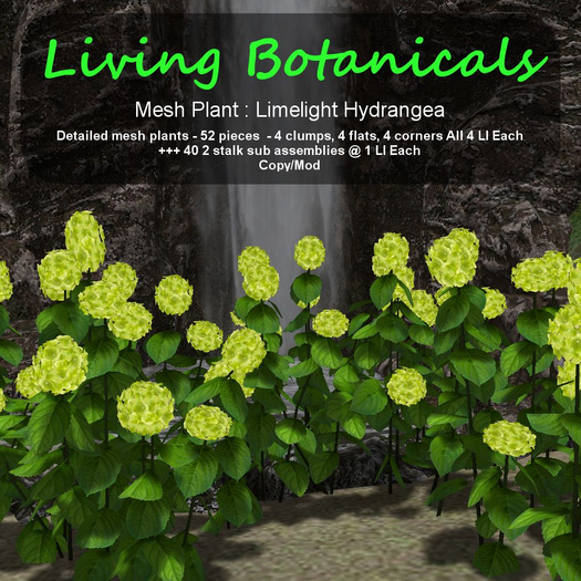 Inochi Botanicals - Mesh Plant "Limelight Hydrangea"