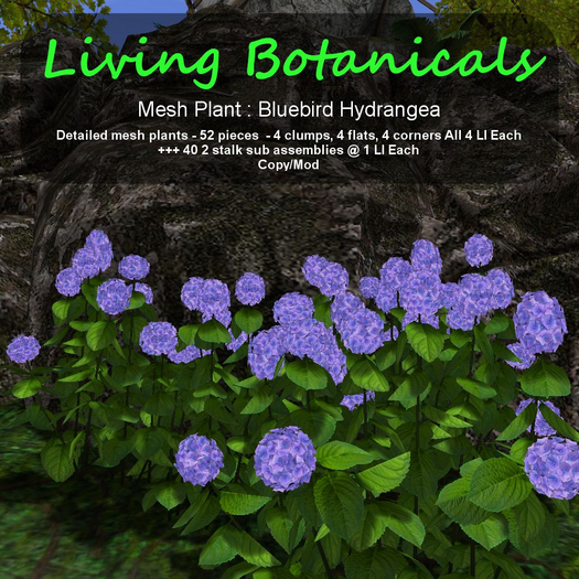 Inochi Botanicals - Mesh Plant "Bluebird Hydrangea"