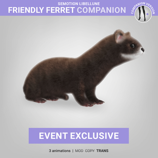 SEmotion Libellune Friendly Ferret Companion EXCLUSIVE