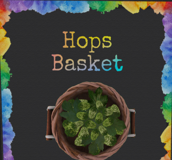 DFS Hops Basket 7 32