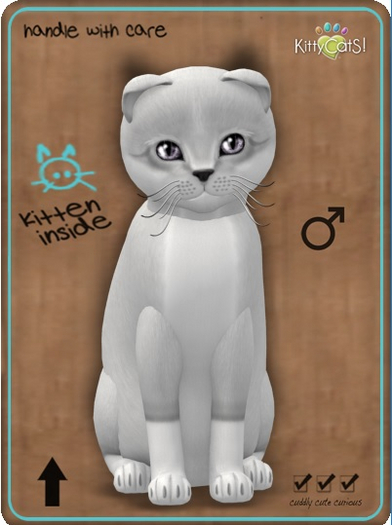 KCB - 8M Foxie - Snow Violet