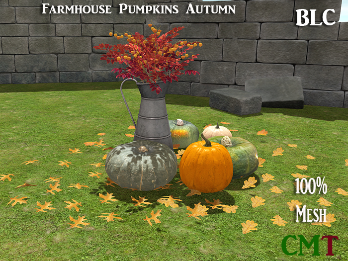 BLC Farmhouse Pumpkins Autumn