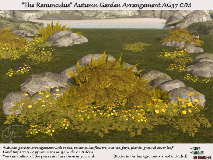 Autumn Plant Garden Arrangement The Ranunculus [AG37]