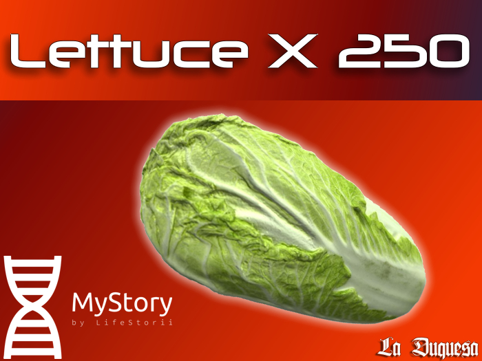 MyStory Lettuce x 250