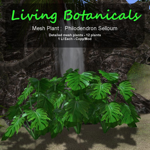 Inochi Botanicals - Mesh Plant "Philodendron Selloum"