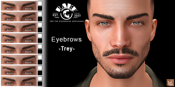 RAKE Eyebrows -Trey- HD Eyebrows LeLUTKA