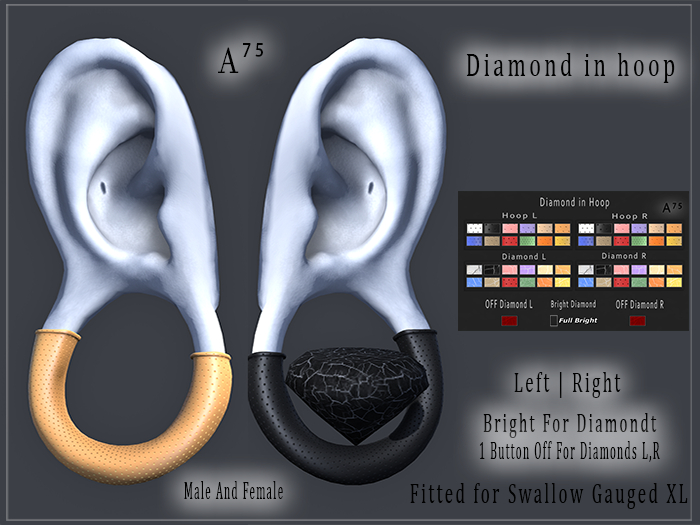 : A75 : Diamond in hoop Gauged XL Unisex