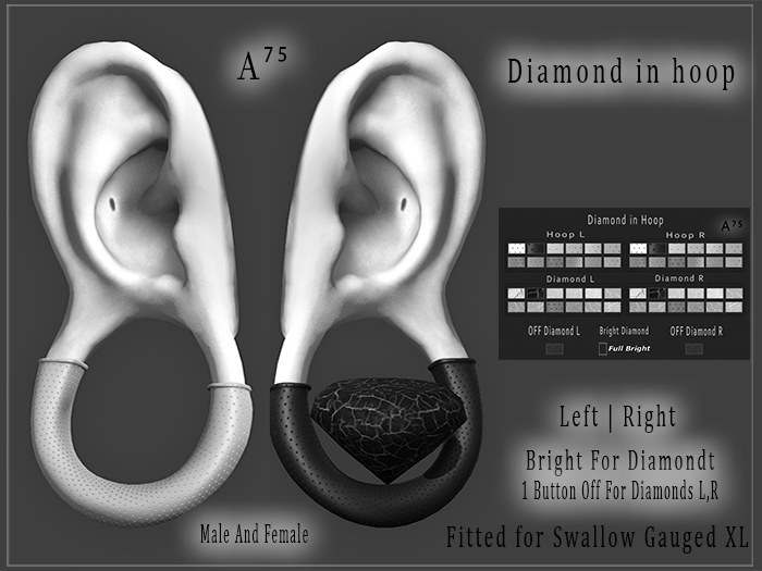 : A75 : Diamond in hoop Gauged XL Unisex DEMO