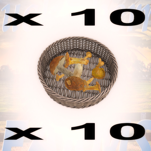 DFS Mushroom Basket  - 10 Count