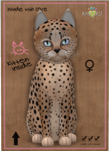 KittyCatS Box - Cheetah! - Au Natural
