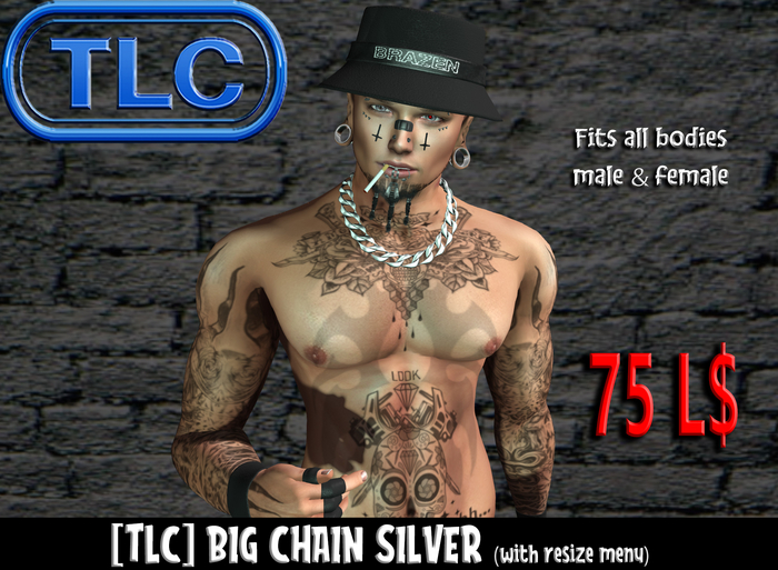 [TLC] Unp. Big Chain Silver